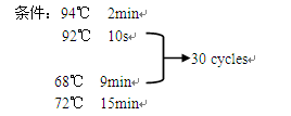 Simgen-dNTPs 10 mM each -引物