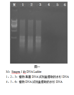 simgen-植物DNA試劑盒-植物/真菌DNA試劑盒-電泳圖一