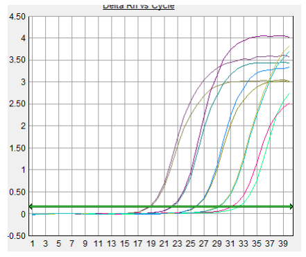 2×SYBR Green PCR Mix Ⅱ（7107100）標準曲線圖