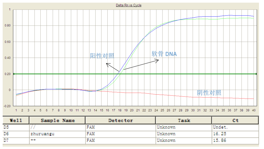 simgen-軟骨DNA純化試劑盒-熒光定量PCR豬源性檢測結果