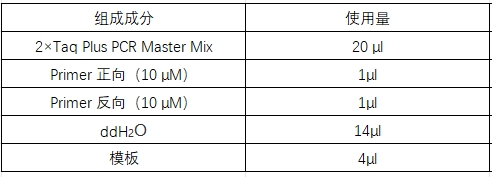 Simgen-快速DNA提取檢測試劑盒，2×Taq Plus PCR Master -配置PCR擴增體系，加1/10體積模板進行PCR擴增