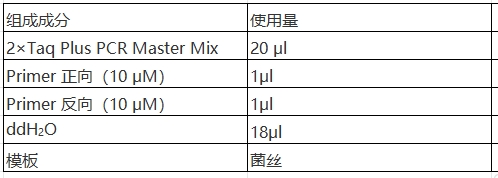 Simgen-快速DNA提取檢測試劑盒，2×Taq Plus PCR Master -配置PCR擴增體系，將菌絲直接加入體系中進行PCR擴增